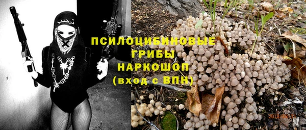 ГАЛЛЮЦИНОГЕННЫЕ ГРИБЫ Балабаново