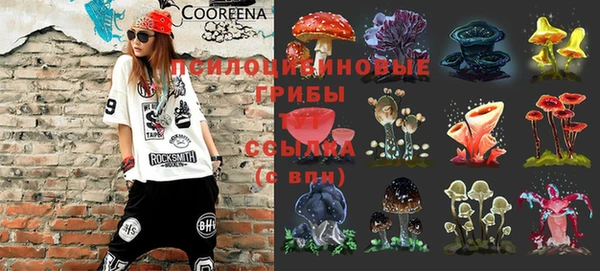 спиды Армянск