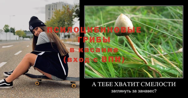 ешки Арсеньев