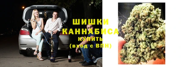 ГАЛЛЮЦИНОГЕННЫЕ ГРИБЫ Балабаново