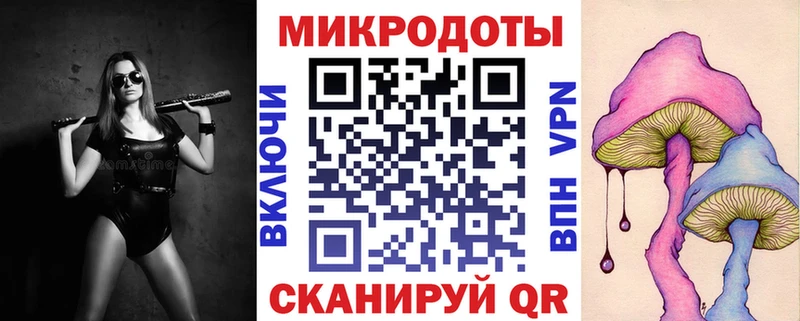 гидра ссылка Кувшиново Галлюциногенные грибы Cubensis